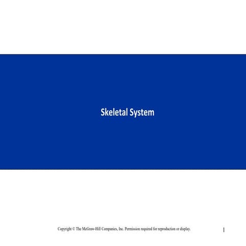 Skeletal system.pptx