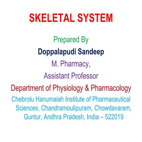 Skeletal System presentation for college.pdf