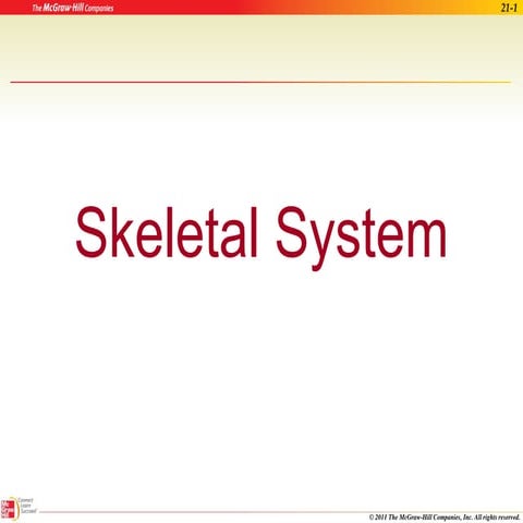 Skeletal System.ppt Skeletal System in Our Body