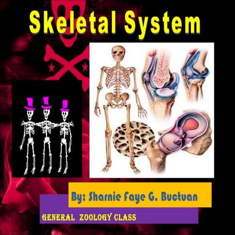 Skeletal system.p2