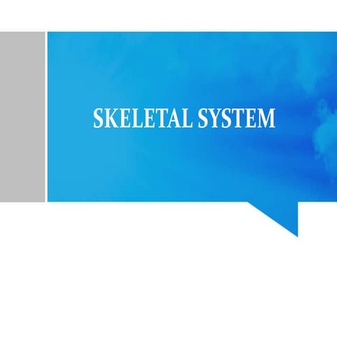 skeletal system and its mobility and function