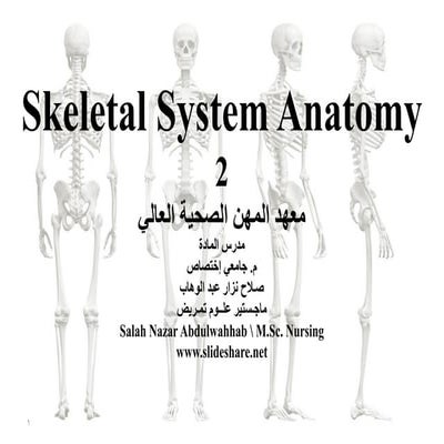 Skeletal system anatomy 2 salah nazar