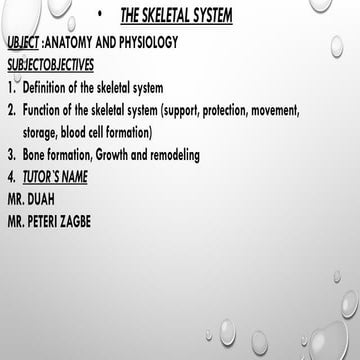 Comprehensive Overview of the Human Skeletal System: Structure ...