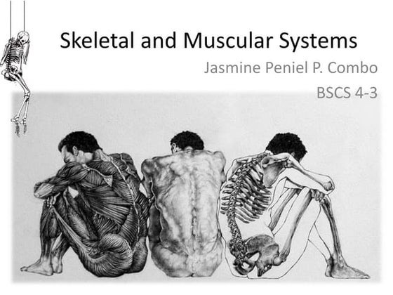 The musculoskeletal system Grade 6 | PPTX