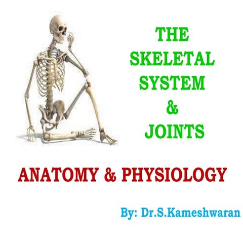 The Human Skeletal System & Joints for B.Pharm and Pharm.D