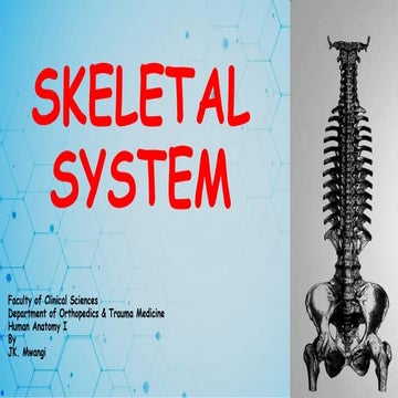 Ossification | PPT