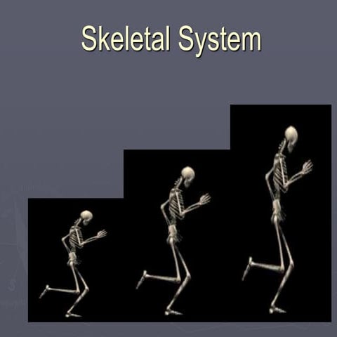 Skeletal System PowerPoint.pptx