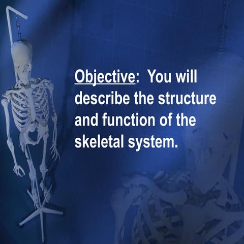 skeletalsystemppt-091111185146-phpapp01.ppt