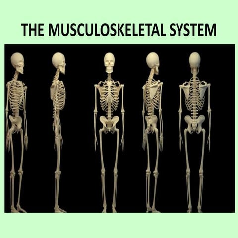 Skeletal system  science 6