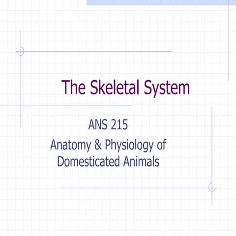 SkeletalSystemVII.ppt | Death, Injury, or Military Conflict | Sensitive ...