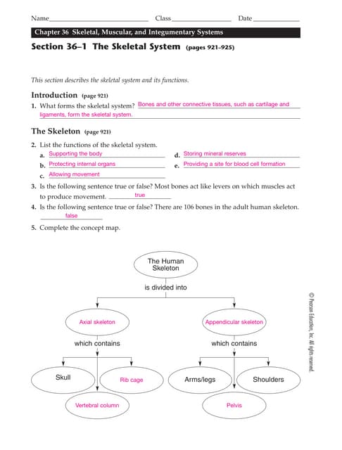 Ch. 35.1 human body systems ws Answers | PDF