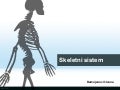 Skeletni sistem