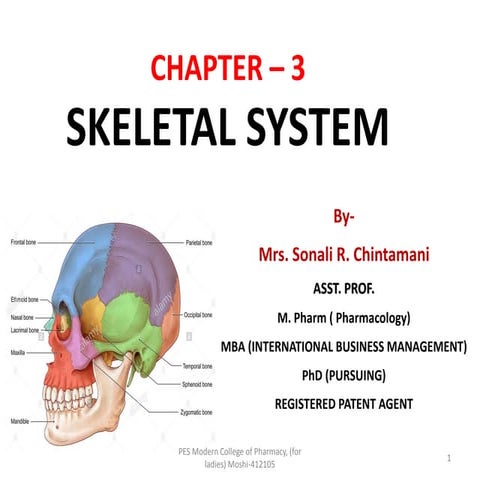 Skeletal System