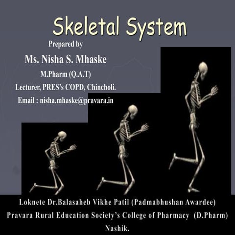 Skeletal System