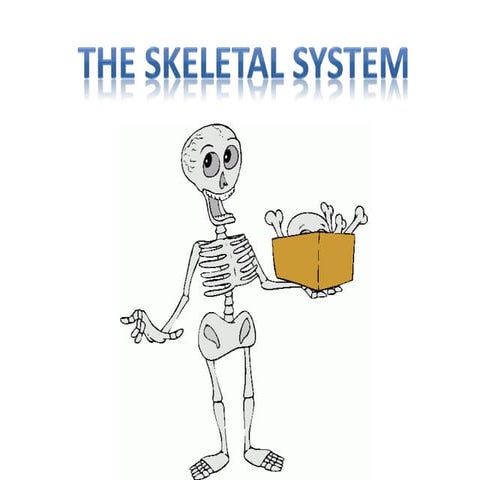 Skeleton 2