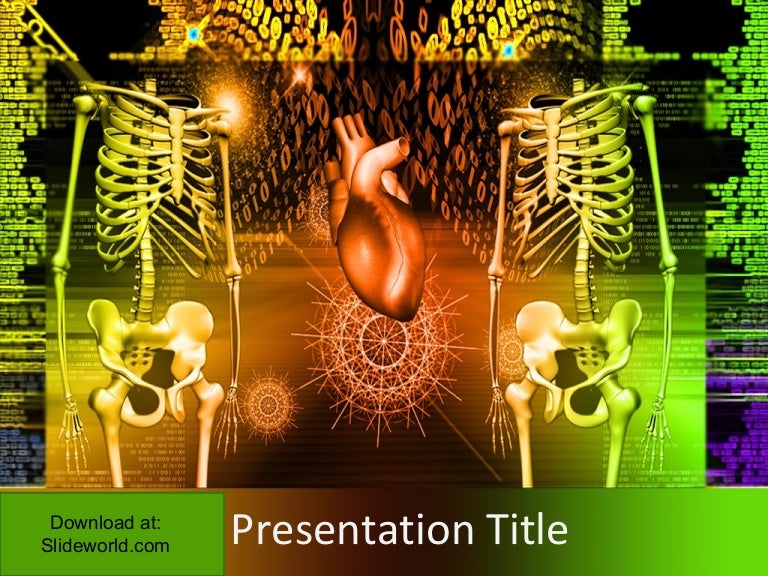 Human Skeleton Powerpoint Template