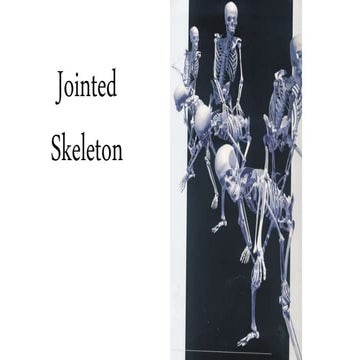 Skeleton and joints 2018 2019 | PPTX
