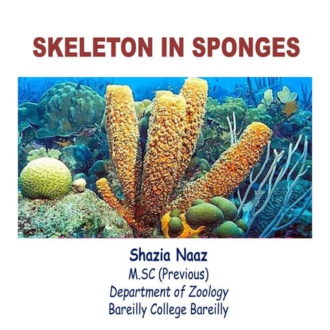 Skeleton in sponges by Shazia Naaz M.Sc. I year.pptx