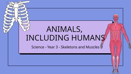 what joints are in a chicken wing