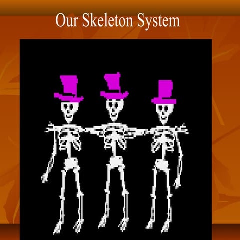 Skeleton system