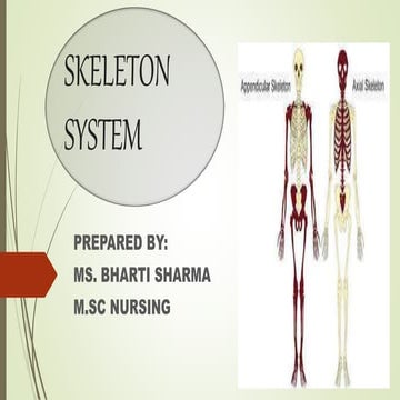 Skeleton system- bones and their number with detailed description.