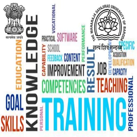 Skill devellopment Programme