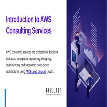 Skillnet solutions inc