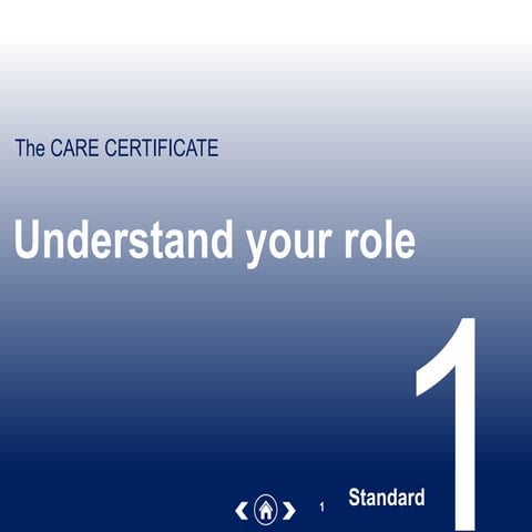 Skills for-care-presentation-web-version-standard-1