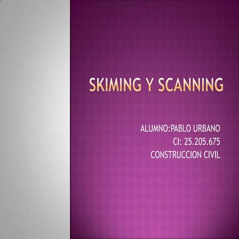 Skiming y scanning