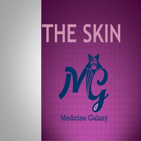 Skin 