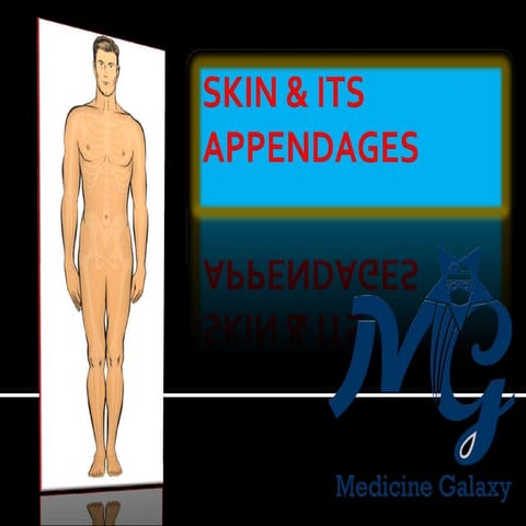 Skin & its appendages