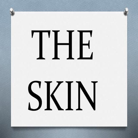 Skin