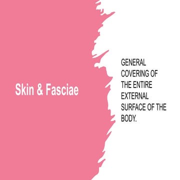 Skin & Deep fascia
