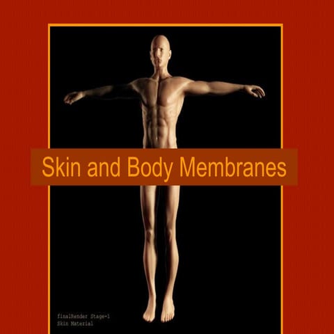 Skin and body membranes