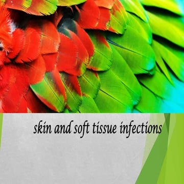 Skin and soft tissue infections