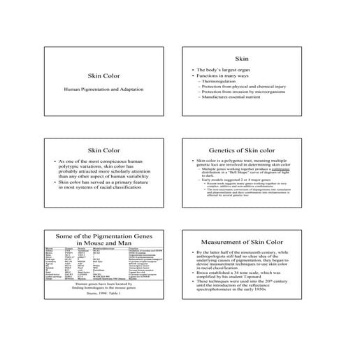 Draft 5 characters | PPTX