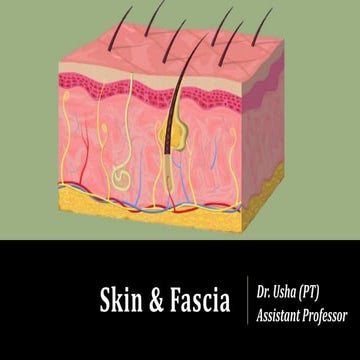 Skin and fascia
