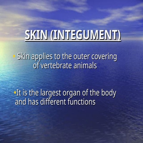 SKIN (INTEGUMENT).power point presentation