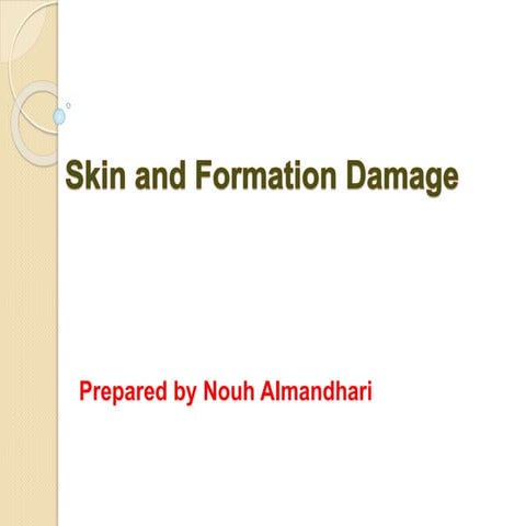 Skin Factor and Formation Damage