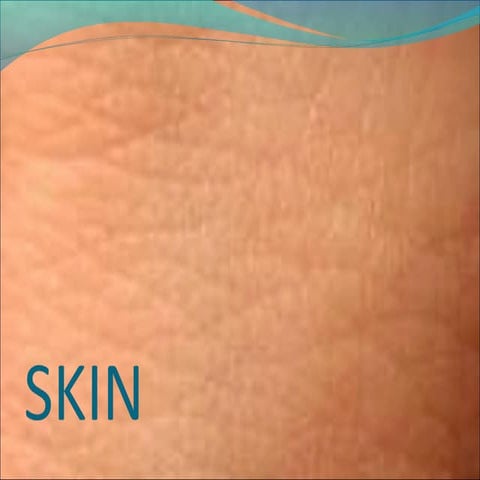 Skin mnv ppt 123