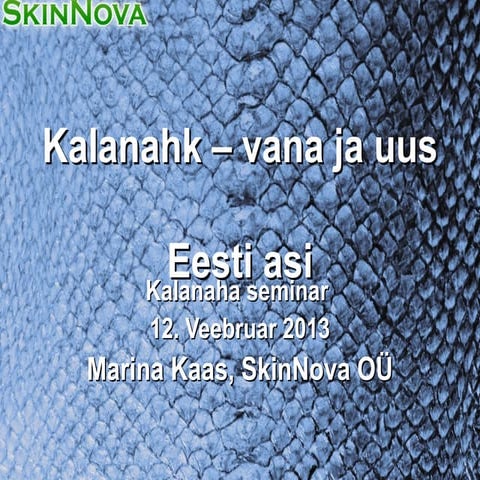 Skin nova presentatsioon 2013