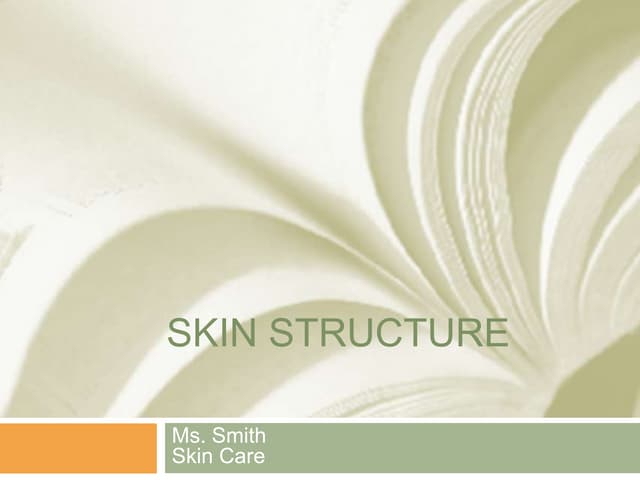 Skin Structure