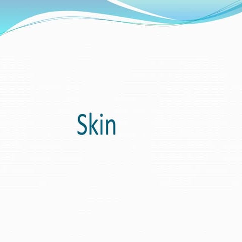 Skin structure