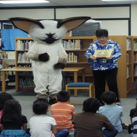 Skippyjon jones visit3 | PDF