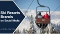 Ski resorts social media report