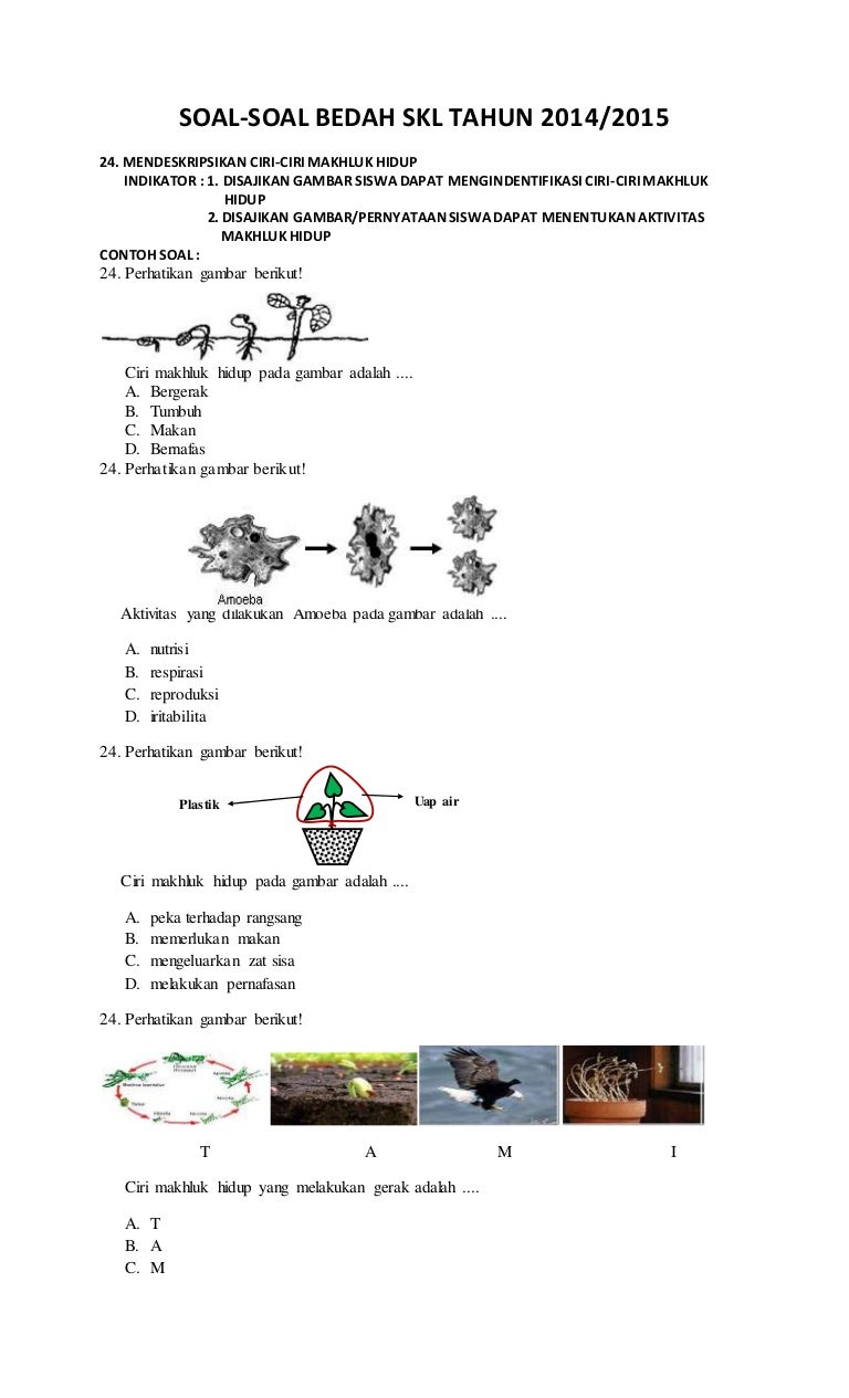 Contoh Soal Ciri Ciri Makhluk Hidup Contoh Soal Terbaru