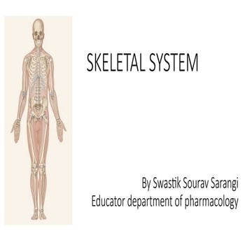 Comprehensive Overview of the Human Skeletal System: Structure and ...