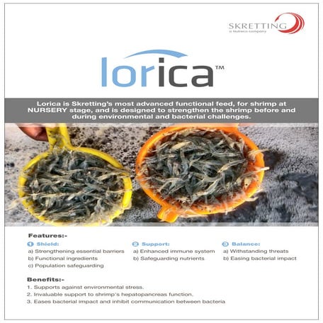 Lorica- Functional feed for Shrimp at Nursery stage | PDF