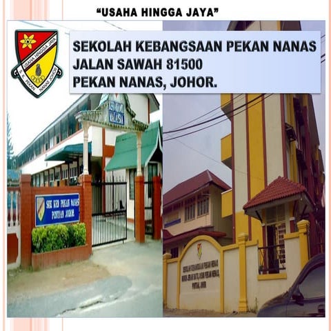 SK Pekan Nanas (ptp) 2012