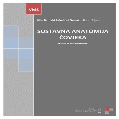 Pripreme Za Ispit Pdf